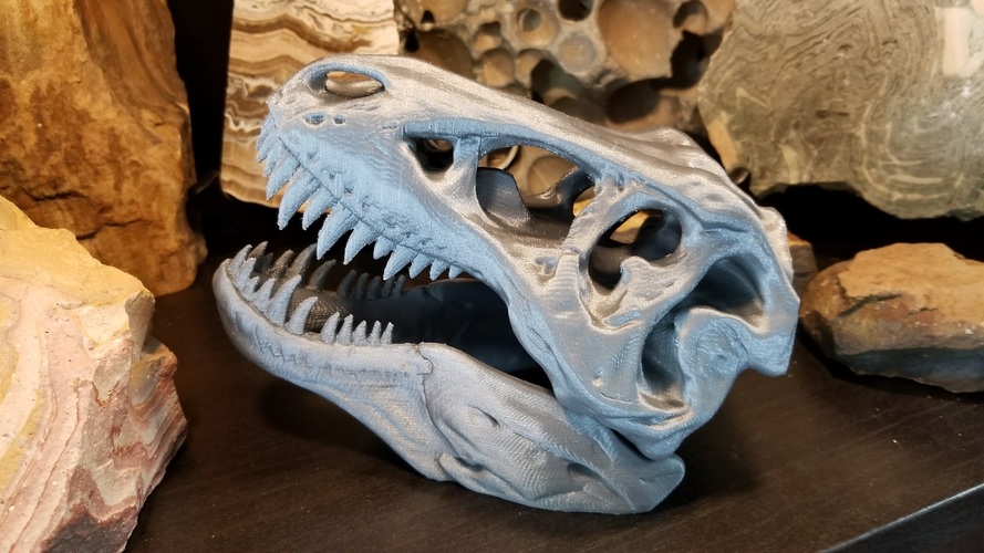 The T-Rex Skull 3D Print 22516