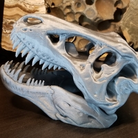 Small The T-Rex Skull 3D Printing 22516