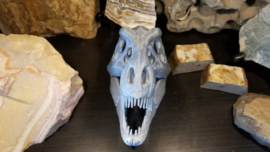 The T-Rex Skull 3D Print 22517