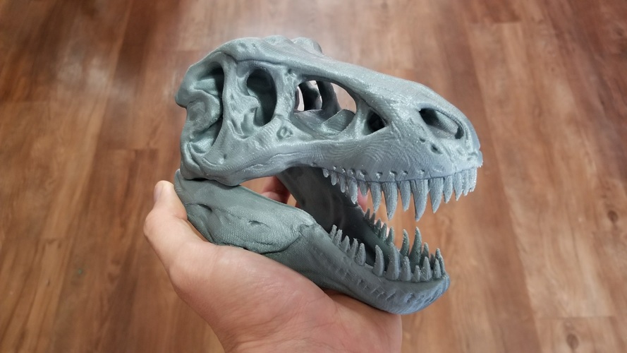 The T-Rex Skull 3D Print 22518