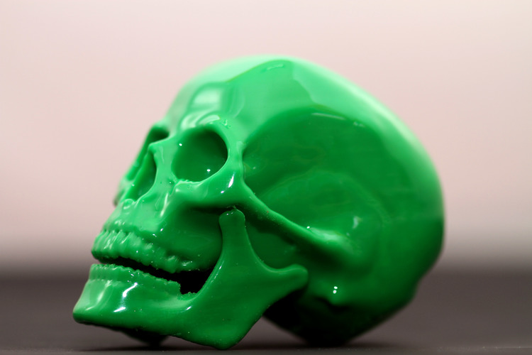 Human Skull 3D Print 23702