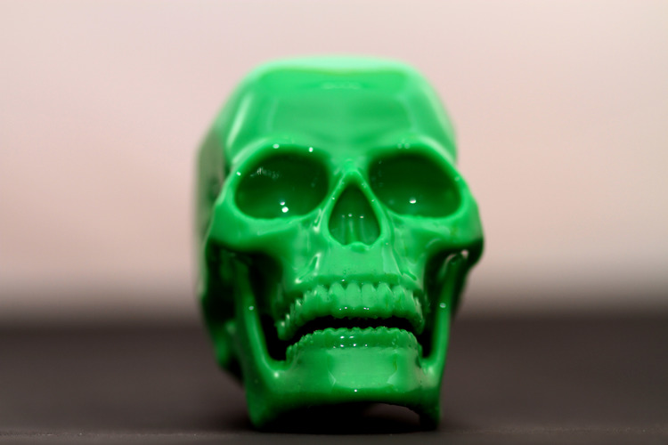 Human Skull 3D Print 23703
