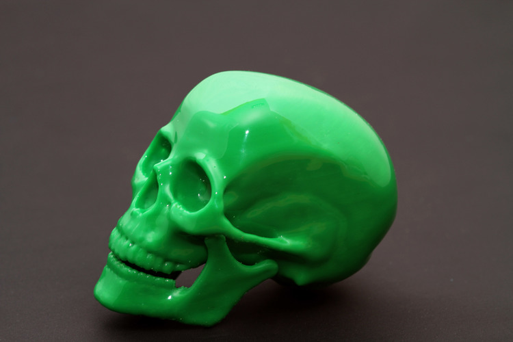 Human Skull 3D Print 23706