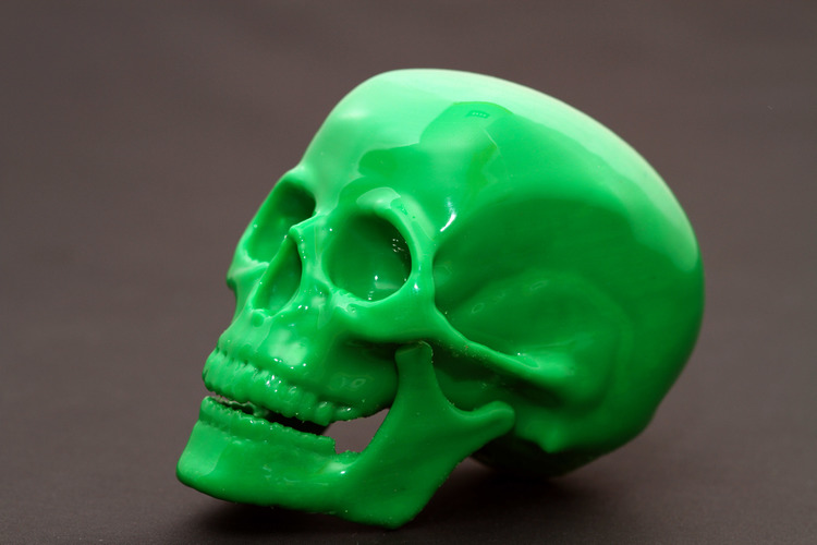 Human Skull 3D Print 23708
