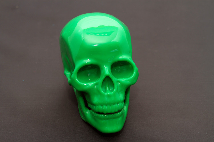 Human Skull 3D Print 23709