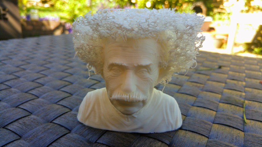 Hairy Einstein 3D Print 23998