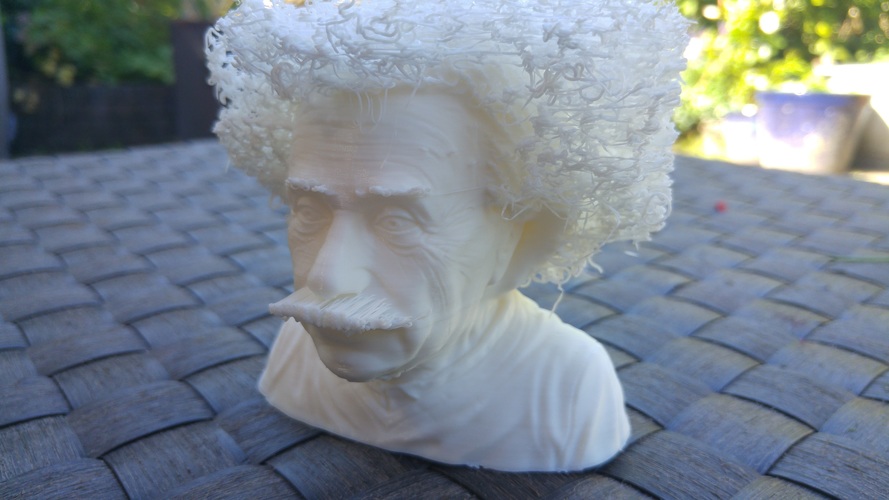 Hairy Einstein 3D Print 23999