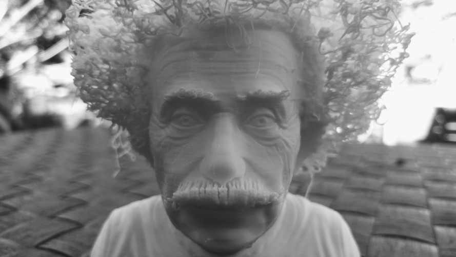 Hairy Einstein 3D Print 24000