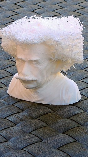 Hairy Einstein 3D Print 24001