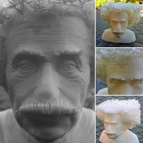 Hairy Einstein 3D Print 24002