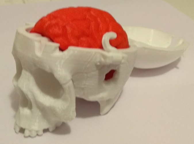 Boneheads: Skull Box w/ Brain - via 3DKitbash.com 3D Print 25061