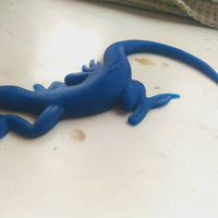 Small Lizard 3D Printing 25202