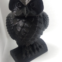 Small Owl 3D Printing 25497