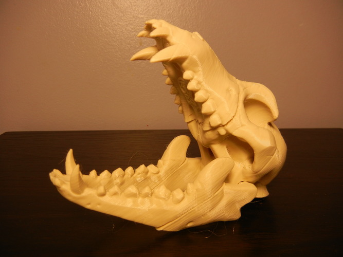 Boneheads S1: Wolf Skull w/ Jaw - 3DKitbash.com 3D Print 2643