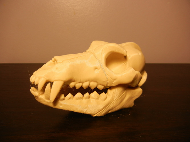Boneheads S1: Wolf Skull w/ Jaw - 3DKitbash.com 3D Print 2644