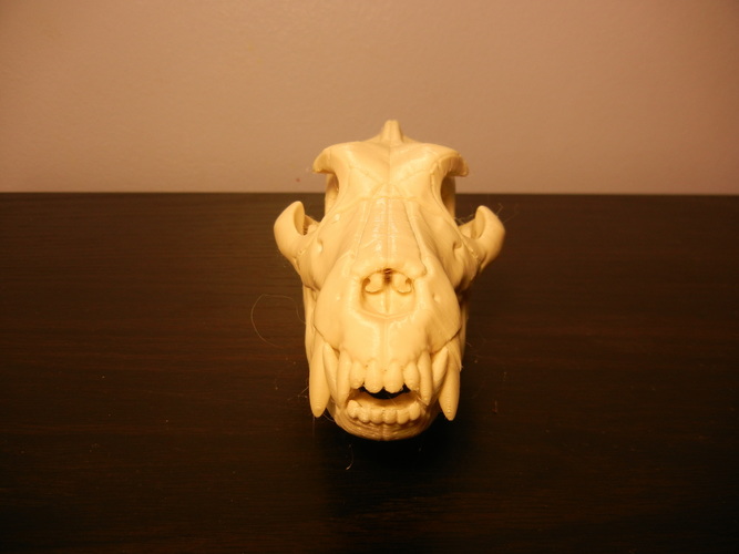 Boneheads S1: Wolf Skull w/ Jaw - 3DKitbash.com 3D Print 2645