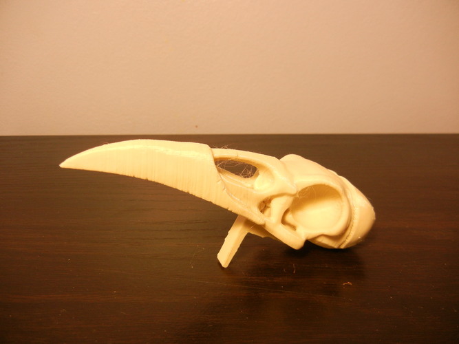 Boneheads: Raven - Skull Kit - PROMO - 3DKitbash.com 3D Print 2646