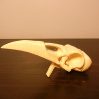 Small Boneheads: Raven - Skull Kit - PROMO - 3DKitbash.com 3D Printing 2646