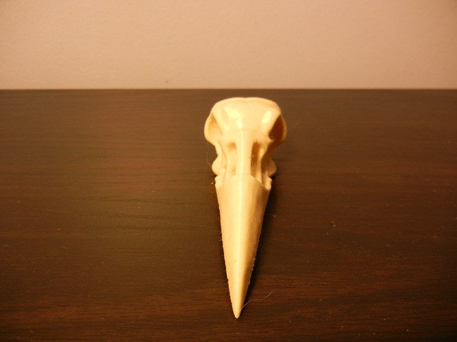 Boneheads: Raven - Skull Kit - PROMO - 3DKitbash.com 3D Print 2647