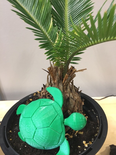 Turtle with moving legs 3D Print 27369
