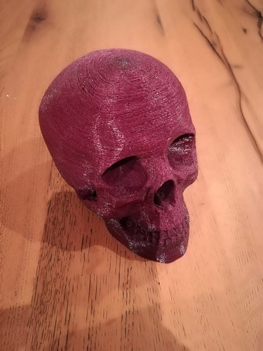 Skull 3D Print 27467