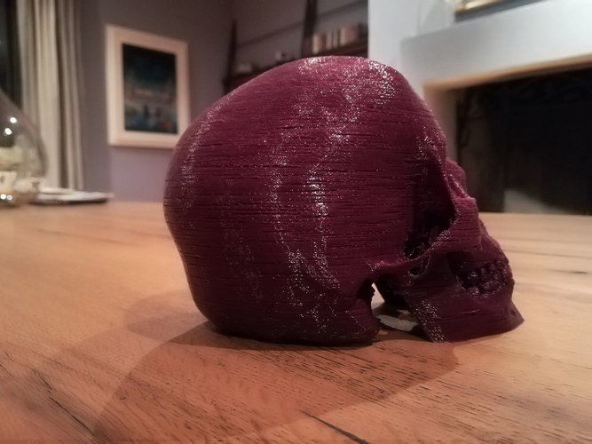 Skull 3D Print 27468
