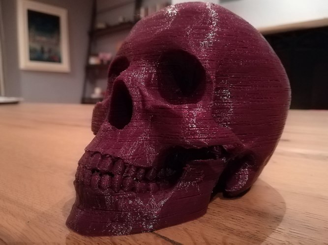 Skull 3D Print 27469