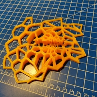 Small spider Coasters design 3D Printing 31281