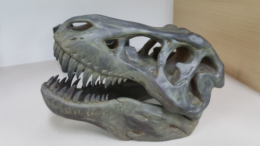 The T-Rex Skull 3D Print 32300