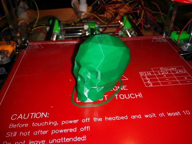 Low Poly Skull 3D Print 3515