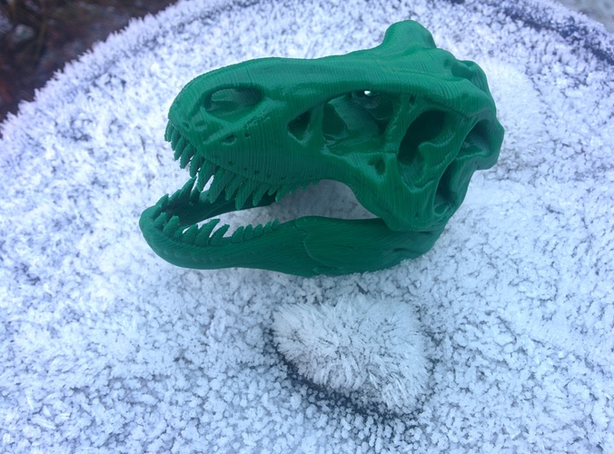 The T-Rex Skull 3D Print 3608
