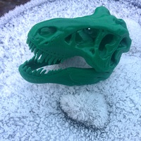 Small The T-Rex Skull 3D Printing 3608