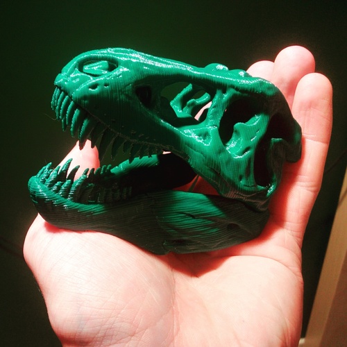 The T-Rex Skull 3D Print 3609