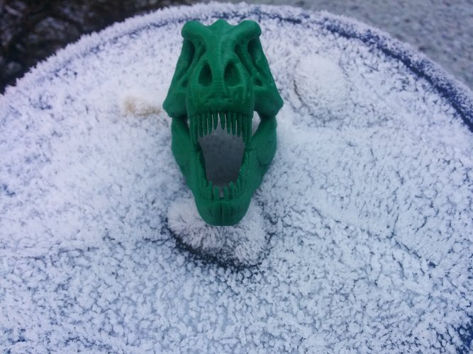 The T-Rex Skull 3D Print 3610