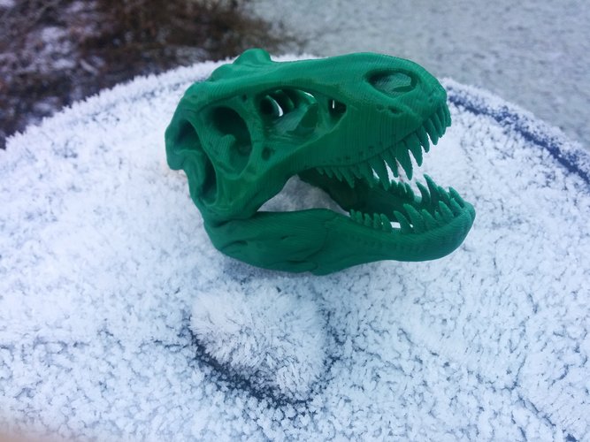 The T-Rex Skull 3D Print 3611