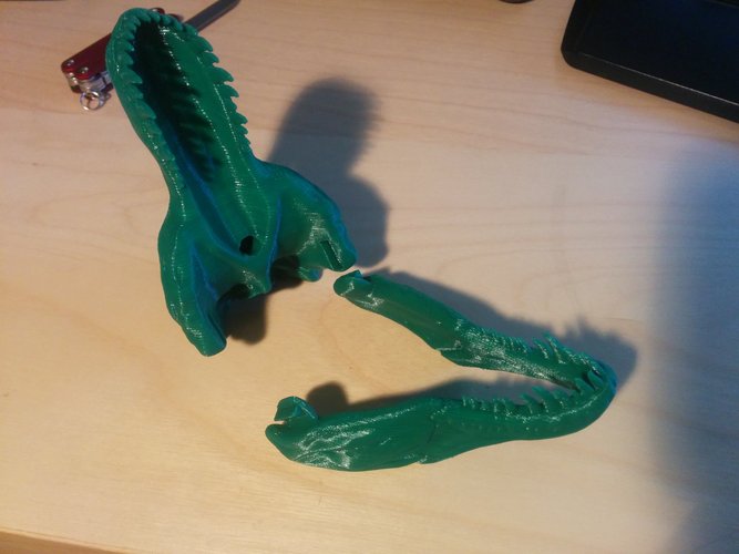 The T-Rex Skull 3D Print 3612