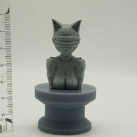 Small cyberpunk girl  Bust 3D Printing 36233
