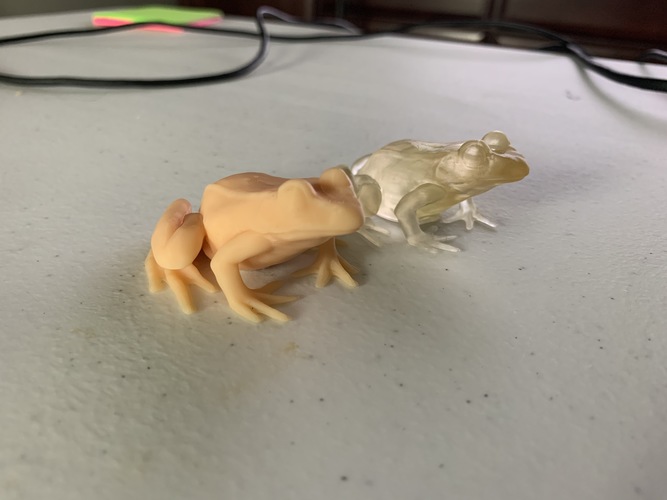 Leopard Frog (Rana pipiens) 3D Print 38923