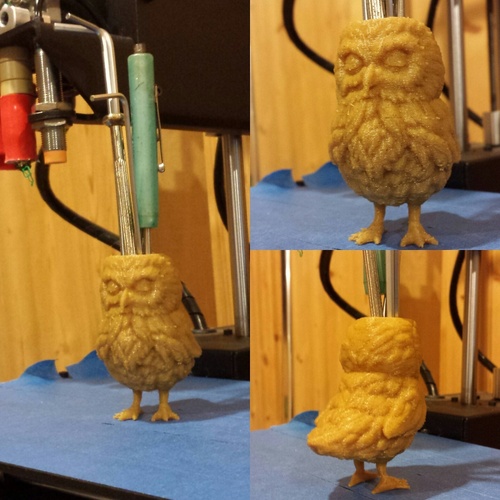 Owl 3D Print 4078