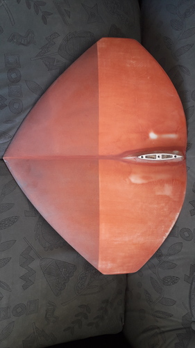 Manta Ray Gull wing unifoil. 3D Print 41259