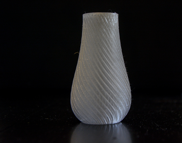 Spiral Vase 3D Print 4189