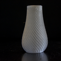 Small Spiral Vase 3D Printing 4189