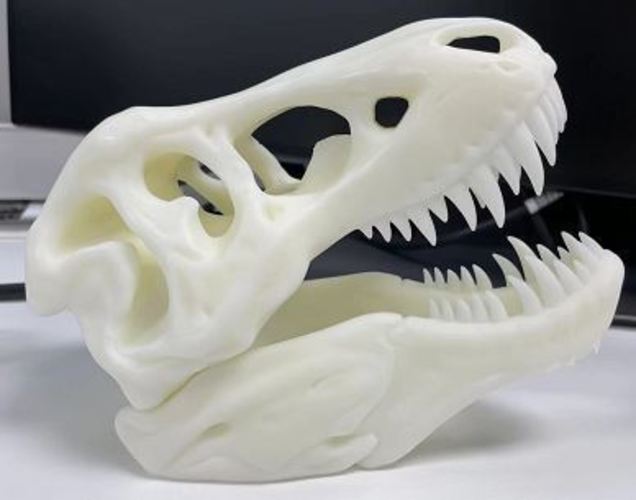 The T-Rex Skull 3D Print 43612