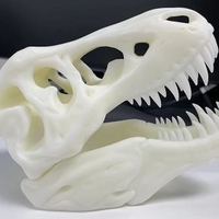 Small The T-Rex Skull 3D Printing 43612