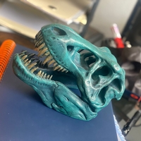 Small The T-Rex Skull 3D Printing 45339