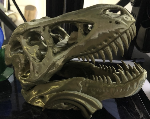 The T-Rex Skull 3D Print 45343