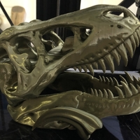 Small The T-Rex Skull 3D Printing 45343