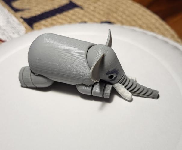Elephant 3D Print 45625