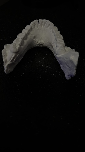 Homo Naledi Skull Reconstruction - Lower Face 3D Print 45826