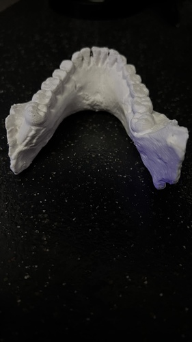 Homo Naledi Skull Reconstruction - Lower Face 3D Print 45827